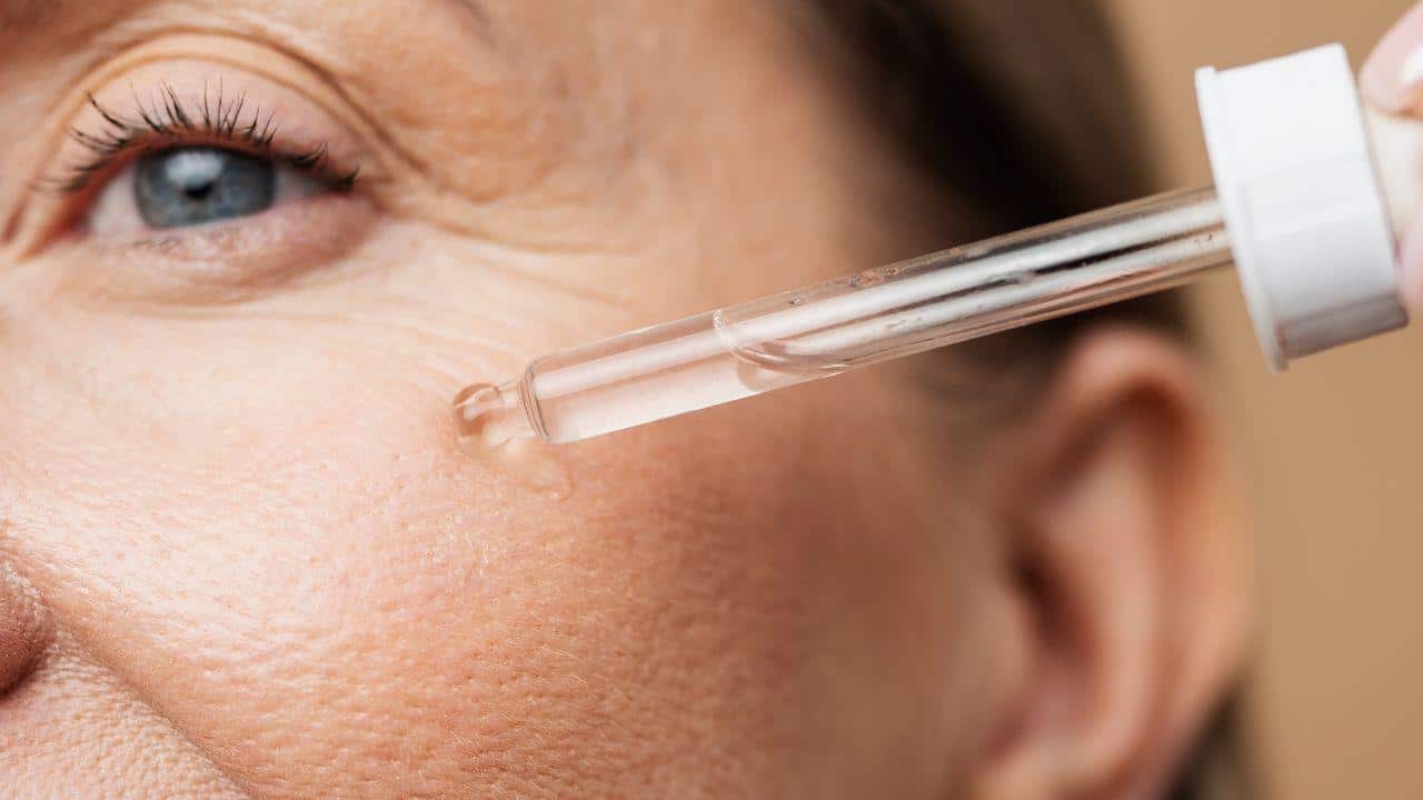 elastina o que é elastina o que é